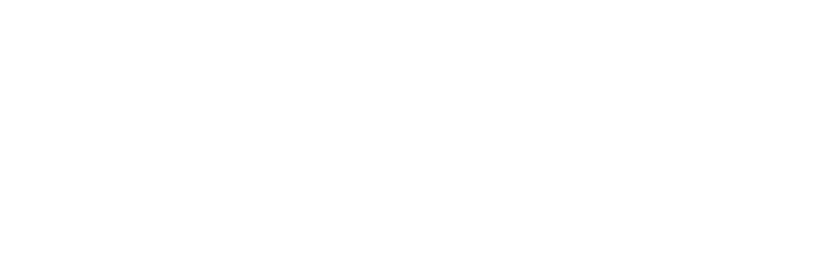 Hetzner Logo